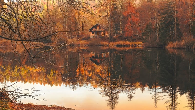Cozy Cabin Retreat